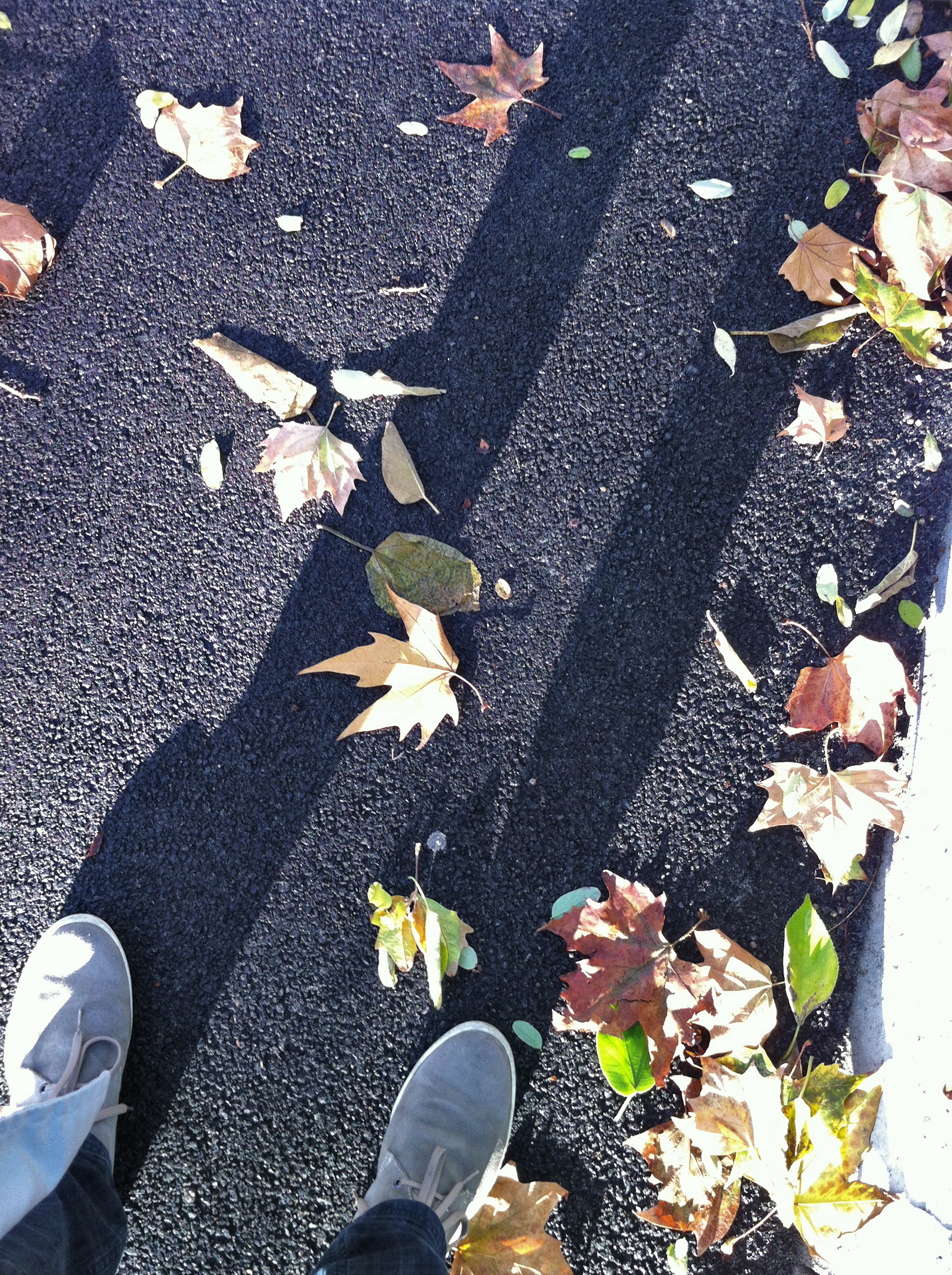 piedi e foglie a novembre